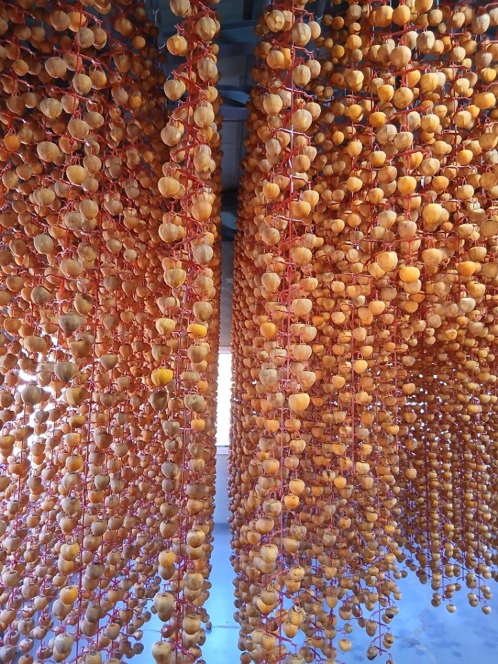 순천시, 고소득 전략작목 7대 품목 ...